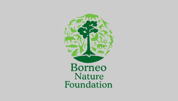 borneo nature foundation loker